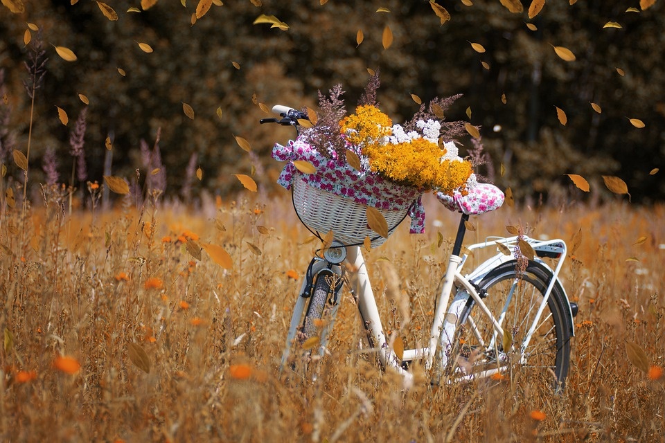 5 Redenen om te gaan fietsen in de herfst