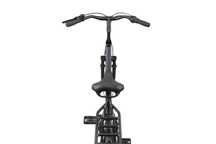 Altec Delta Plus Damesfiets 28 inch 56cm 3v 9