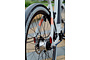 Cortina E-Blau Damesfiets 28 inch 50cm DB7 belt 17 klein