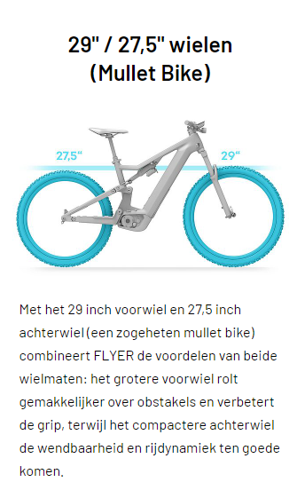 een miljard stopcontact Mening Flyer UprocX 2.10 Elektrische Mountainbike 29 inch Enzian Blue Gloss 1 -  Superfietsen.nl