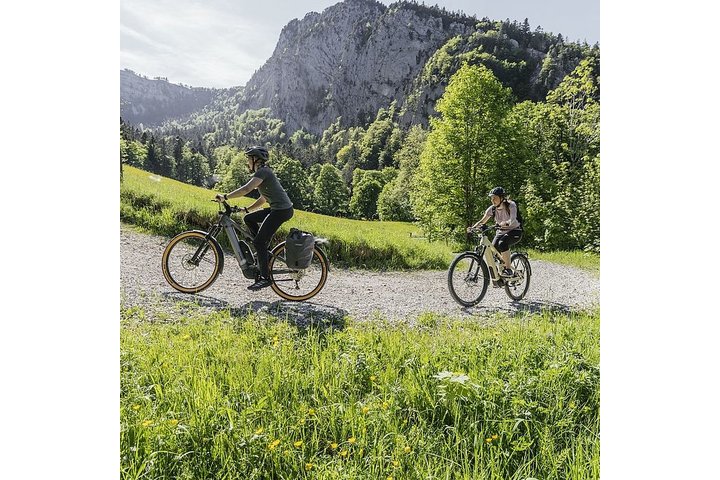 Flyer GorocX 2.10 Elektrische Mountainbike 29 inch Black Shading Satin 10v 3