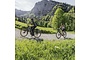 Flyer GorocX 2.10 Elektrische Mountainbike 29 inch Black Shading Satin 10v 3 klein
