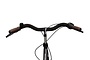 Altec Manta 28 inch Damesfiets 49cm 3v 6 klein