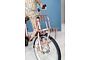 Alpina Clubb Kinderfiets Transport 20 inch 8 klein