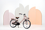 Alpina Clubb Kinderfiets Transport 20 inch 12 klein