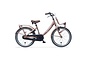 Alpina Clubb Kinderfiets Transport 20 inch 5 klein