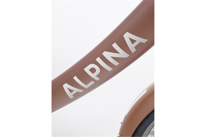 Alpina Clubb Kinderfiets Transport 20 inch 14