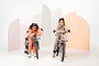 Alpina Clubb Kinderfiets Transport 22 inch 5 klein