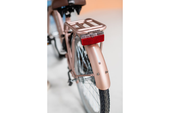 Alpina Clubb Kinderfiets Transport 22 inch 8
