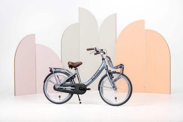Alpina Clubb Kinderfiets Transport 22 inch 10