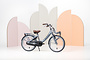 Alpina Clubb Kinderfiets Transport 22 inch 12 klein