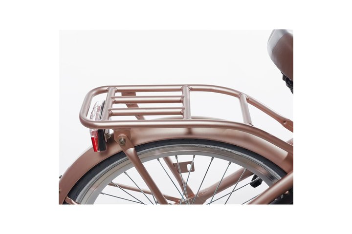 Alpina Clubb Kinderfiets Transport 22 inch 15