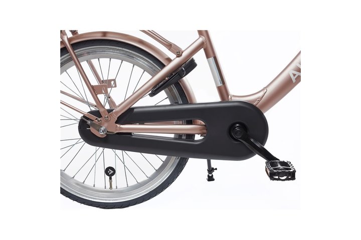 Alpina Clubb Kinderfiets Transport 22 inch 16