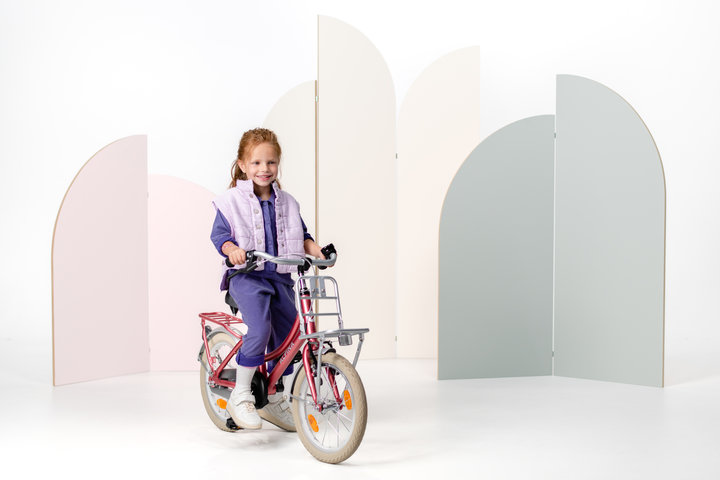 Alpina Cargo Kinderfiets Transport 20 inch 19