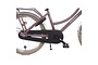 Alpina Cargo Kinderfiets Transport 22 inch 17 klein