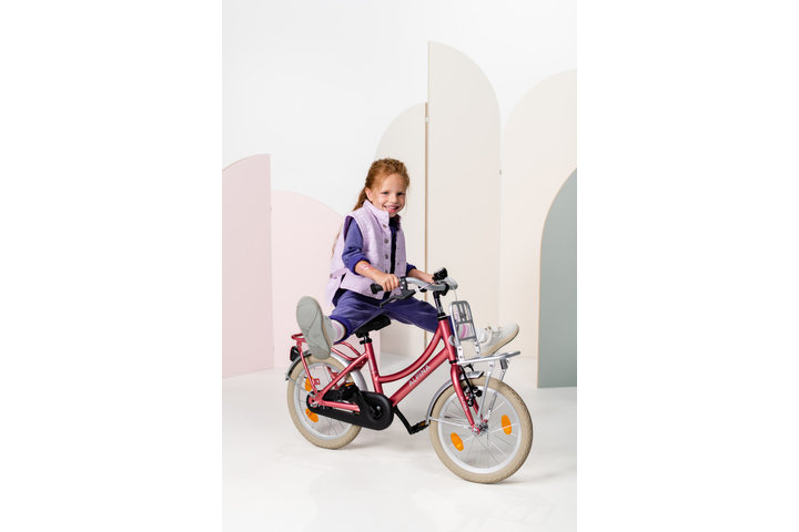 Alpina Cargo Kinderfiets Transport 16 inch 3