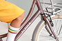Alpina Cargo Kinderfiets Transport 16 inch 7 klein