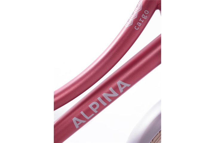 Alpina Cargo Kinderfiets Transport 16 inch 10
