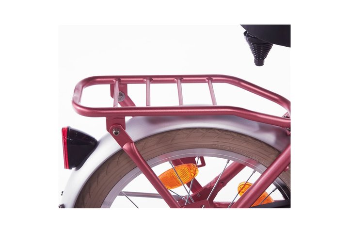 Alpina Cargo Kinderfiets Transport 16 inch 13