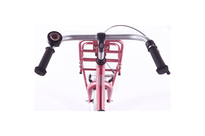 Alpina Cargo Kinderfiets Transport 16 inch 17