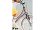 Alpina Cargo Kinderfiets Transport 18 inch 10 klein