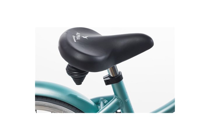Alpina Ocean kinderfiets 16 inch 15
