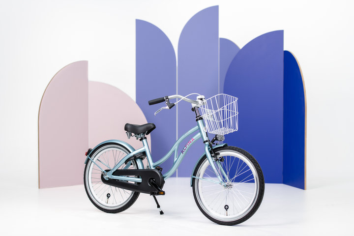 Alpina Ocean Kinderfiets 20 inch 10