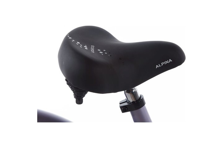 Alpina Ocean Kinderfiets 20 inch 15
