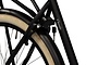 Altec Classic Transportfiets Heren 28 inch 58 cm 11 klein