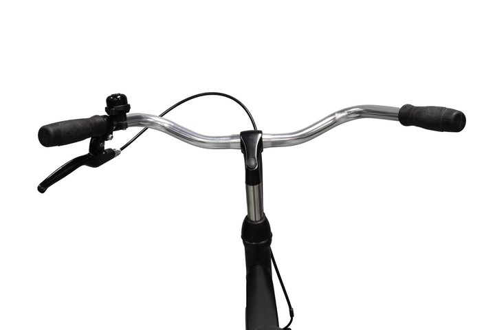 Altec Trend Herenfiets 28 inch 52cm 9