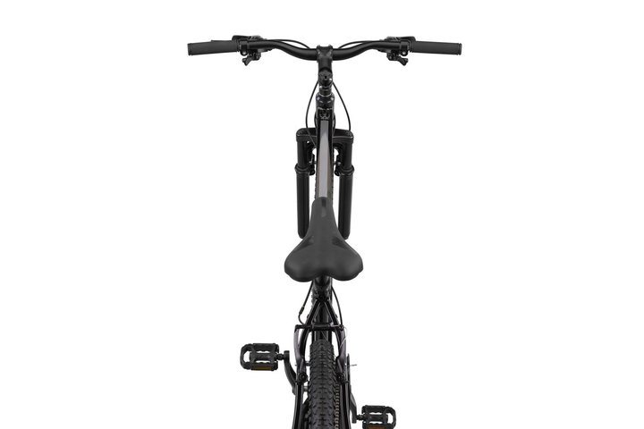 Altec King Mountainbike 29 inch 46cm V-Brakes 21v 8