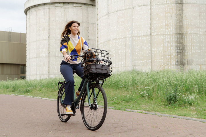 Cortina Common Transportfiets 28 inch 57cm ND7 16