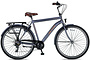 Altec Metro Herenfiets 28 inch 50cm 7v 1 klein