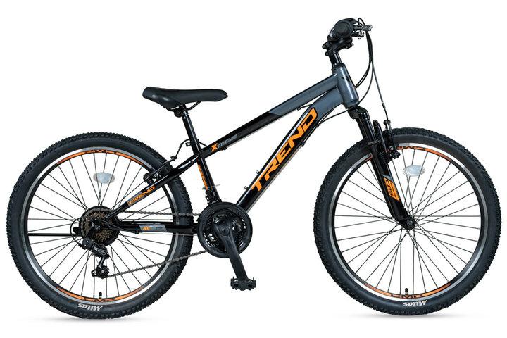 Altec Trend Mountainbike Jongens 24 inch 21v 1