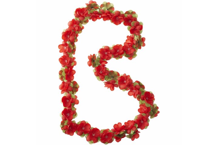 Basil bloemslinger 2