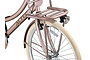 ACTIE Altec Dutch Transportfiets Dames 28 inch 50cm 3v 11 klein