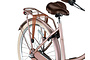 ACTIE Altec Dutch Transportfiets Dames 28 inch 50cm 3v 13 klein