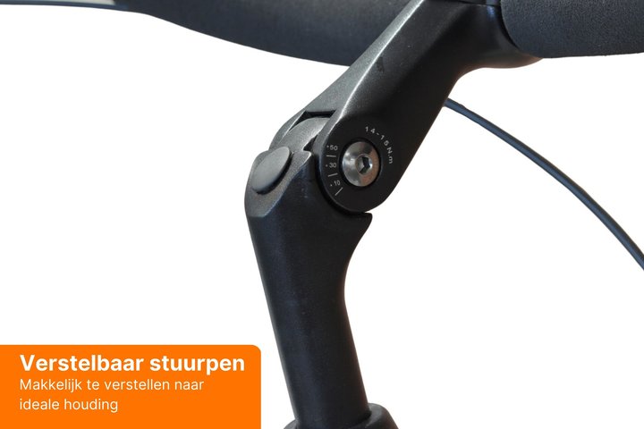 Altec Sweet Moederfiets 28 inch 50 cm 3v 8