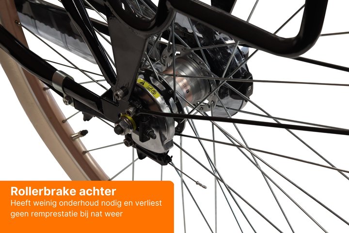 Altec Sweet Moederfiets 28 inch 50 cm 3v 10