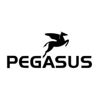 Pegasus