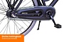 Crown New York Plus Damesfiets 28 inch 53cm Midnight Black 3v 8 klein