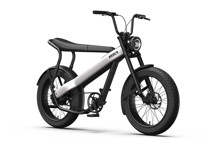 Brekr Model F250 22 inch Fatbike 1