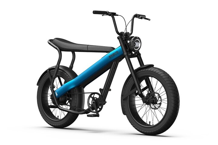 Brekr Model F250 22 inch Fatbike 4