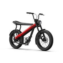 Brekr Brekr Model F250 22 inch Fatbike