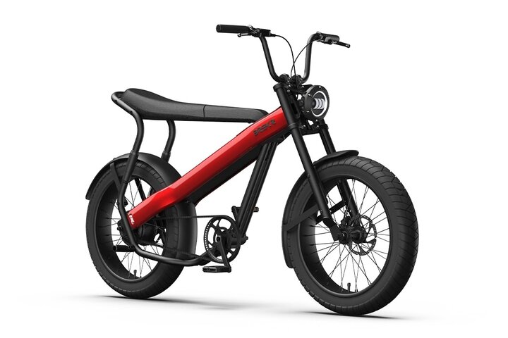 Brekr Model F250 22 inch Fatbike 2