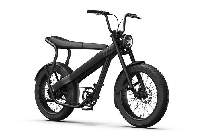 Brekr Model F250 22 inch Fatbike 8