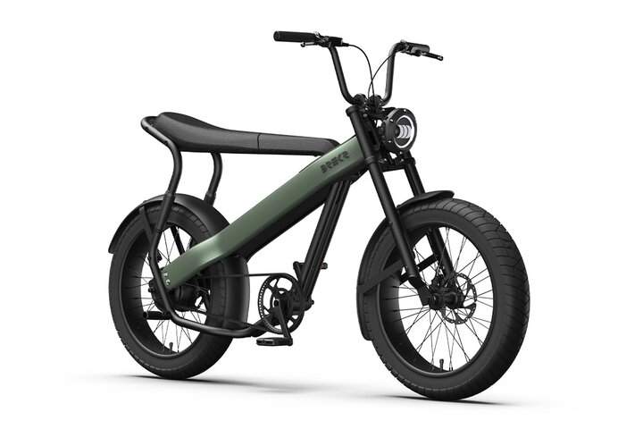 Brekr Model F250 22 inch Fatbike 1