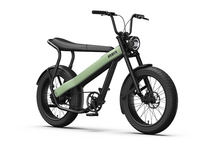 Brekr Model F250 22 inch Fatbike 10