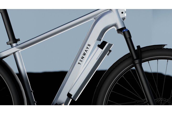 TENWAYS AGO X Elektrische Herenfiets M 10v 8