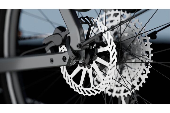 TENWAYS AGO X Elektrische Herenfiets M 10v 11